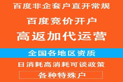 关键词竞价排名策略：成功企业的案例分析
